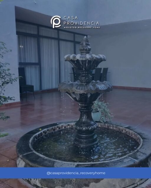 Un espacio que acompaña tu recuperación. 🤍
En Casa Providencia cuidamos cada detalle para que vivas tu postoperatorio con más
tranquilidad, comodidad y bienestar. ✨
📩 Contáctanos para más información.
📍C. Garibaldi 2956, Guadalajara, Jal.